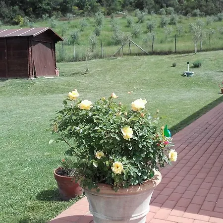 Val Di Sterza * Querceto (Montecatini Val di Cecina)